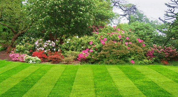 tipos de grama para jardim residencial