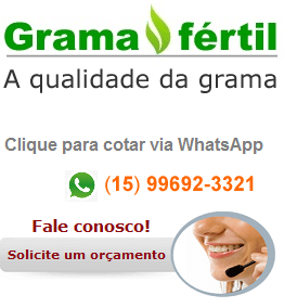 Comprar grama em Teixeira Soares PR